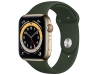 Apple M09F3J/A [ゴールドステンレススチールケース/キプロスグリーンスポーツバンド] Apple Watch Series 6 GPS+Cellularモデル 44mm